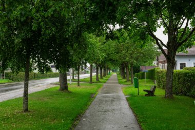 Yağmurdan sonra Bad Leonfelden 'da ağaçlarla kaplı huzurlu bir patika, yemyeşil bir yer, bir bank ve yakınlarda düzenli evler. Taze yapraklardan bir gölgeliğin altında sakin bir banliyö sahnesi.