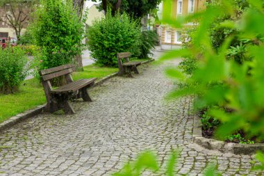 Sağlam bir ahşap bank, canlı yeşil çimlerle ve yumuşak mavi gökyüzünün altında yükselen ağaçlarla çevrili yemyeşil bir parkta oturur. Huzur ve yansımayı doğanın sakin kucaklamaları arasında davet eder, barışçıl bir duraksama için mükemmeldir..