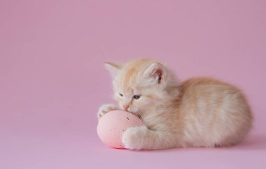 Ginger cat playing with Easter eggs. Spring holiday symbol. Animal helping with decoration