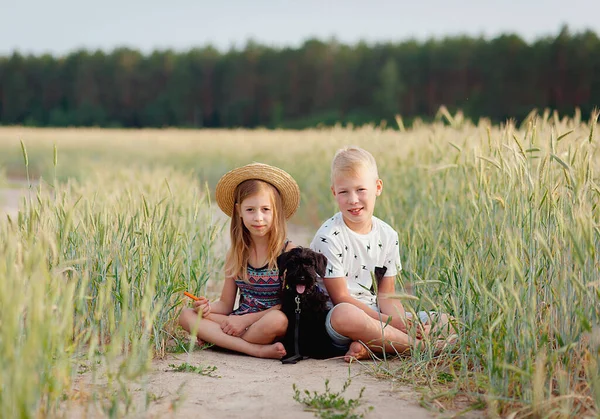 Children learning to be caring and loving pet