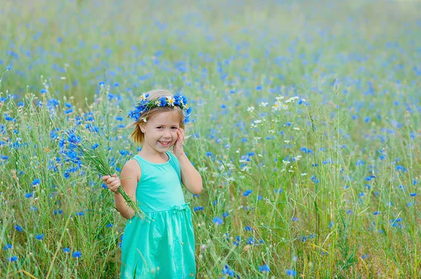happy little girl in a cotton dress in a field of daisies in the summer laughs