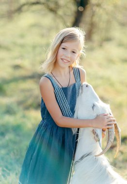 Keçi peyniri çiftliğinde keçilerle oynayıp beslenen bir kız. Kız çiftlikte keçi besliyor.