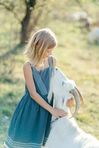 外のヤギチーズ農場でヤギと遊んだり餌をあげたり 農場の女の子の餌とペットヤギ — ストック写真