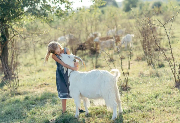 Çiftlikte keçilerle oynayan sevimli bir kız. Çocuk kendini hayvanlara tanıtıyor. Çiftçilik ve bahçe işleri. Çocuklar için açık hava yaz aktiviteleri