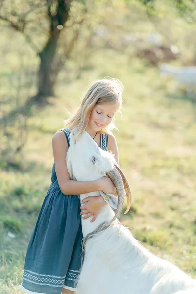 Adorable Girl Playing Goats Farm Child Familiarizing Herself Animals Farming — Stock Photo, Image