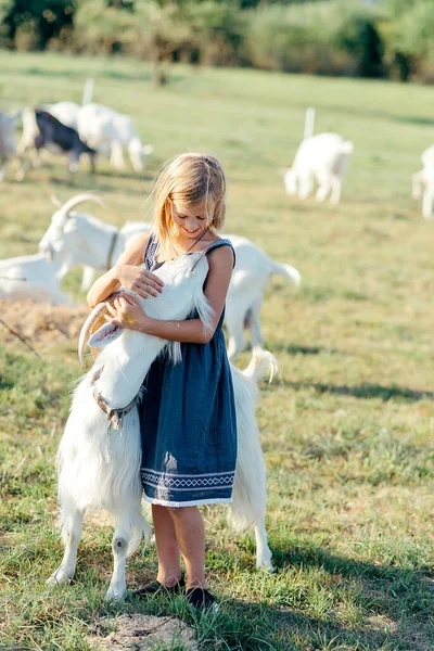 Çiftlikte Keçilerle Oynayan Sevimli Bir Kız Çocuk Kendini Hayvanlara Tanıtıyor — Stok fotoğraf