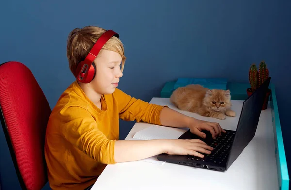 Istruzione Distanza Studente Bambino Sorridente Che Studia Online Sul Computer — Foto Stock