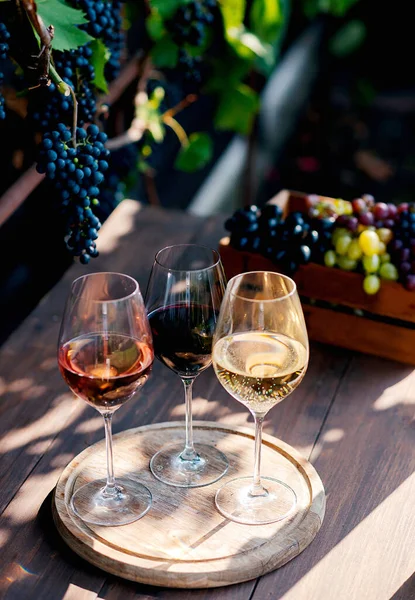 三杯白葡萄酒 玫瑰酒和红酒 放在葡萄园的木桶上 全息图 — 图库照片