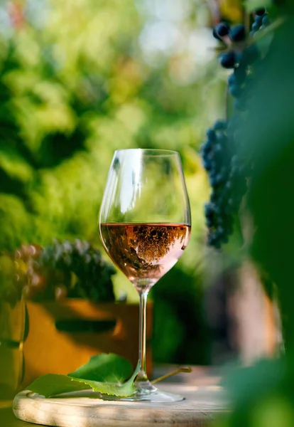 Glass Red Wine Wooden Barrel Vineyard — Stock Photo, Image