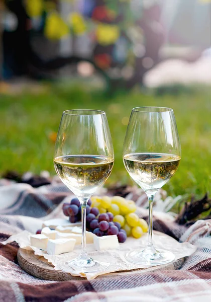 Picnic Outdoor Tasty Food Wine — Stock Photo, Image