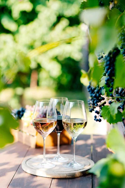 Wine Glasses Bunch Grape Wooden Table — Stock Photo, Image
