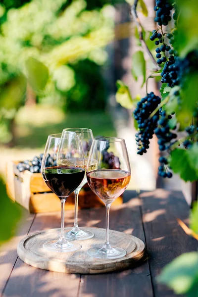 Ahşap masa üzüm demet bardaklarda şarap