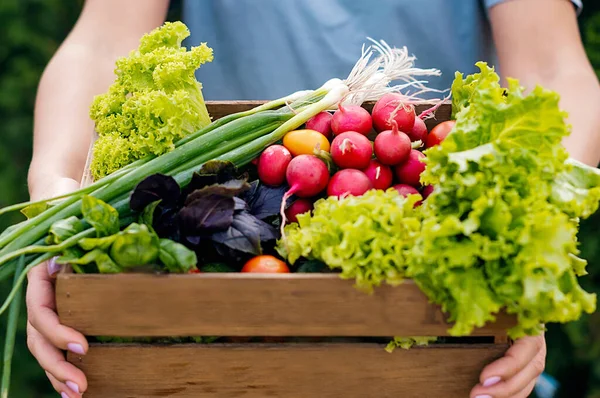 Farmer Holding Wooden Box Full Fresh Raw Vegetables Basket Vegetable — Stock Photo, Image