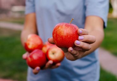 Çiftçilerin elleri taze toplanmış elmalarla