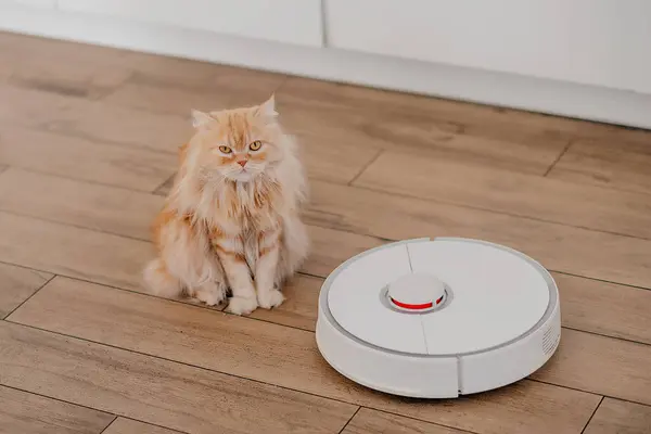 Beyaz robot süpürge yerleri yıkıyor..