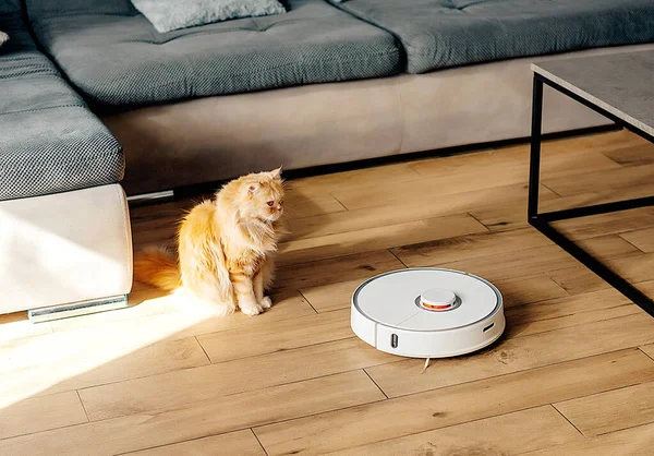 Beyaz robot süpürge yerleri yıkıyor..