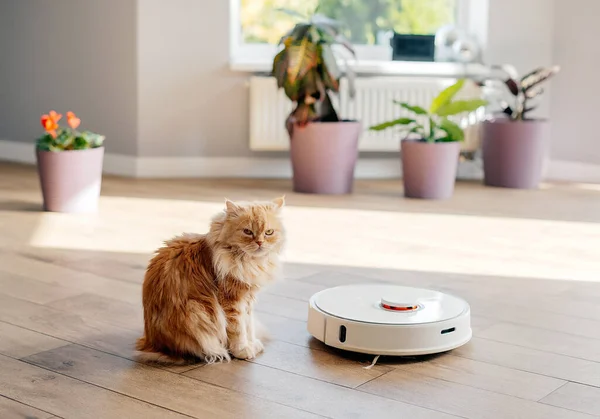 Beyaz robot süpürge yerleri yıkıyor..