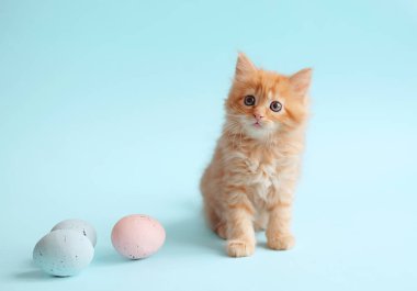 Cute little ginger kitten sleeps on fur white blanket