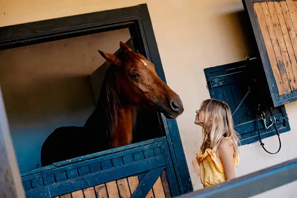 Girl Stable Communicates Horse — Stock Photo, Image