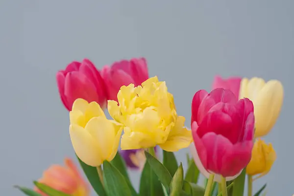 Blommor Vas Tulpaner — Stockfoto