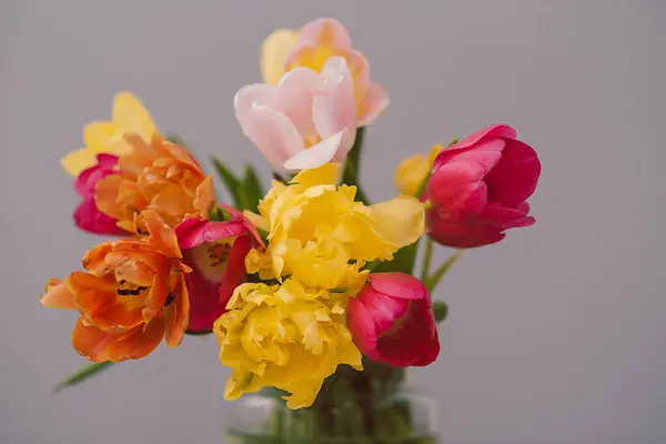 Λουλούδια Βάζο Τουλίπες — Φωτογραφία Αρχείου