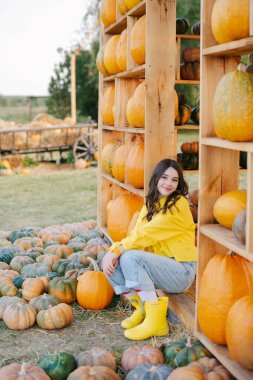 Balkabağı tarlasında tatlı çocuklar.