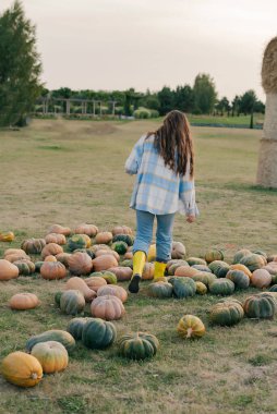 Balkabağı çiftliğindeki kadınlar, Cadılar Bayramı balkabağı tarlası