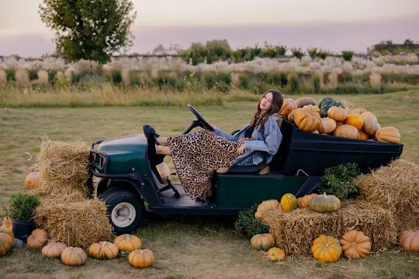 Balkabağı çiftliğindeki kız, Cadılar Bayramı balkabağı tarlası