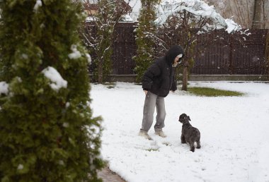 Köpek kışın karlı arazide ayaklarının yanında durur, evcil hayvan konseptiyle yürüyüş ve macera yapar.