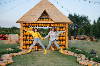 Balkabağı toplama. Aile çiftlikte sonbahar sebze hasadı topluyor. İşçi tarlada büyük bir balkabağı tutuyor. Cadılar Bayramı. Şükran Günü.