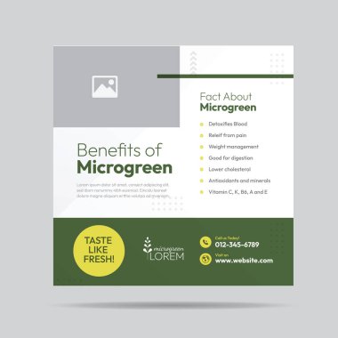 Microgreen Sosyal Medya Posta Tasarımı ve Mikroyeşil Çiftlik Şablonu