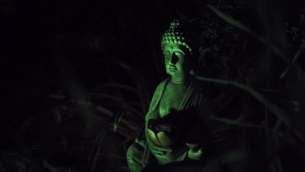 夜晚在花园里的一座坐着的佛像 轻轻摇曳着绿光 温泉依然与佛像同在 冥想和放松音乐的优美背景 — 图库视频影像