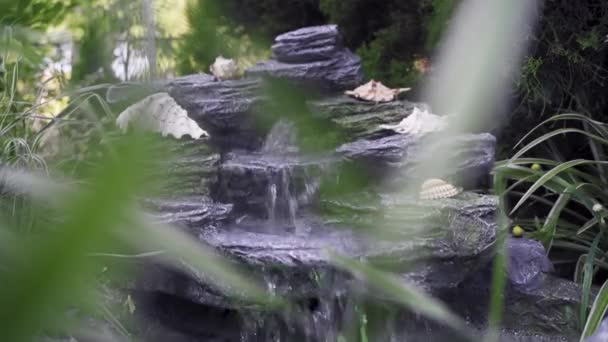 Chorro Agua Fluye Pequeño Estanque Agua Pura Fluye Través Cascada — Vídeos de Stock