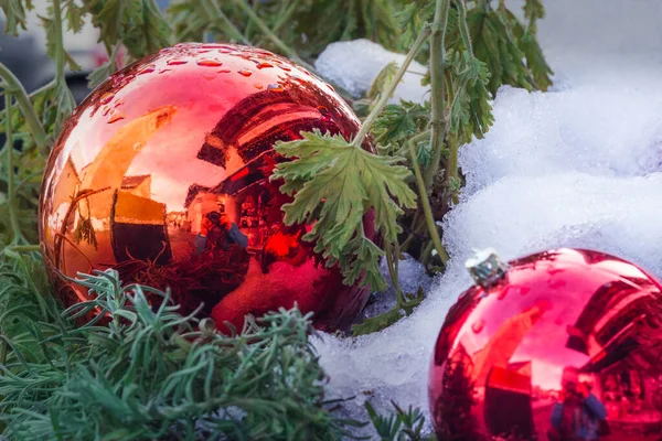 Kırmızı Noel topları, karda yeşil bitkiler. Fotoğrafçının, kilisenin ve caddenin güzel yansıması. Orijinal Noel kompozisyonu. Noel içeriği.