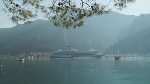 Κρουαζιερόπλοιο Στο Kotor Bay Φόντο Βουνά Υψηλής Ποιότητας Πλάνα — Αρχείο Βίντεο