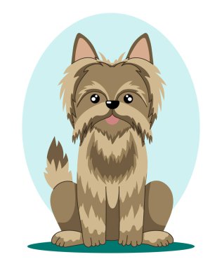 Yorkshire Teriyeri. Düz bir şekilde oturan köpeğin vektör illüstrasyonu.