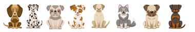 Köpek koleksiyon üretir. Düz bir şekilde oturan köpeklerin vektör çizimi. Beyaz arkaplanda izole çizimler.