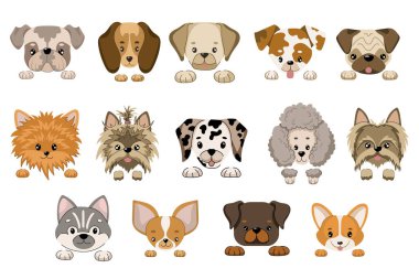 Köpek suratları ve pençe koleksiyonu. Pençeleri düz stil olan farklı cins köpek kafalarının vektör çizimi. İzole çizimler beyaza ayarlandı