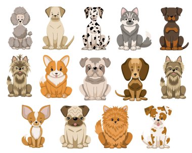 Köpek koleksiyonu. Düz bir şekilde oturan köpek cinsinin vektör çizimi. Beyaz arkaplanda izole çizimler.