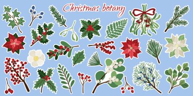 Düz Noel bitkileri çıkartması seti. Kış botanik unsurları köknar dalları, çoban püskülleri, ökseotu, noktalar. Tatil dekorasyonu için vektör çizimi, dekorasyon yeni yıl, Noel tebrik kartı