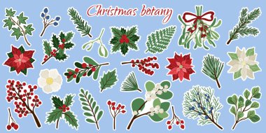 Flat Christmas plants sticker set. Winter botanical elements fir branches, holly, mistletoe, poinsettia. Vector illustration for design holiday decor, decoration new year, Christmas greeting card clipart