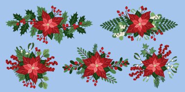 Klasik Noel buketleri koleksiyonu. Kış bitkileri kompozisyonları. Tatil dekorasyonu için el çizimi vektör çizimi, dekorasyon yeni yıl, tebrik kartı. Dekoratif ve şenlikli çiçek düzenlemesi