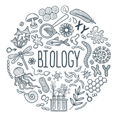 El yapımı biyoloji bilimi karalama elementlerini harflerle özetliyor. Garip çizgi sanatı beyaz arka planda vektör illüstrasyonlarını dener. Çember bileşimi