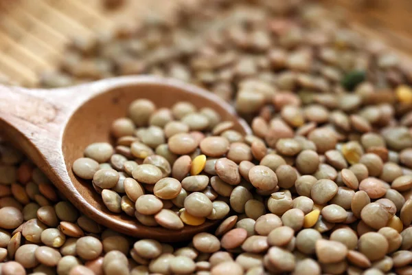 Mercimek bambu kevgire yayılmış.