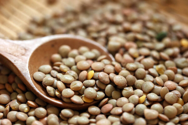 Чечевица распространяется на бамбуковом дуршлаге