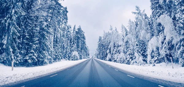 Empty Asphalt Road Snowy Forest Winter Beautiful Wintry Background — Stock Photo, Image
