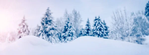 Zbliżenie Widok Stok Snowdrift Lesie Świerkowym Zimie Tło Panoramiczne — Zdjęcie stockowe