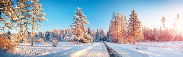 Schneefall Auf Der Verschneiten Straße Naturpark Winter Schöner Landschaftlicher Hintergrund — Stockfoto