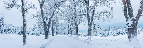 Kışın Doğal Parktaki Köy Yolu Güzel Panoramik Manzara — Stok fotoğraf