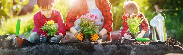 Mor Med Barn Som Planterar Groddar Den Odlade Jorden Begreppet — Stockfoto